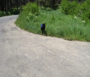 Montana 09 008